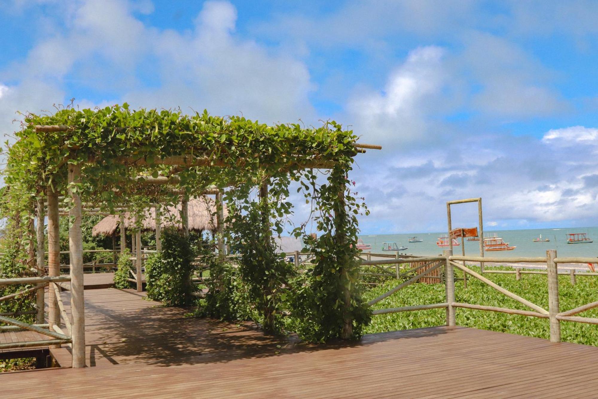 Casa Seriguela - Praia Do Patacho - Rota Ecologica Dos Milagres Pôrto de Pedras Exterior foto